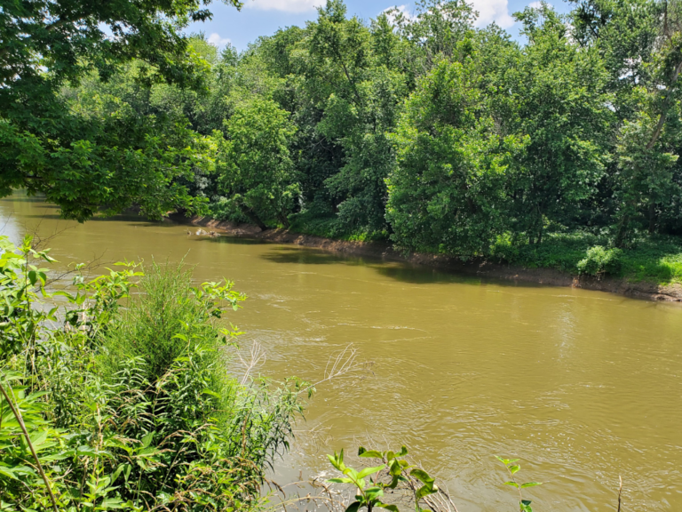 Beech Bend Campground | Beech Bend Park | Bowling Green, KY